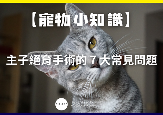 【寵物小知識】主子絕育手術的 7 大常見問題