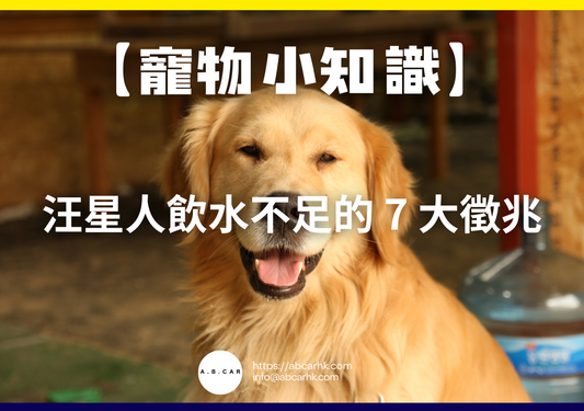【寵物小知識】汪星人飲水不足的 7 大徵兆