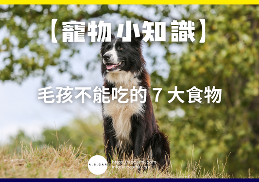 【寵物小知識】毛孩不能吃的 7 大食物
