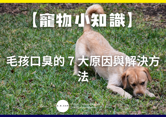 【寵物小知識】毛孩口臭的 7 大原因與解決方法