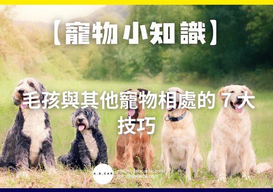 【寵物小知識】毛孩與其他寵物相處的 7 大技巧