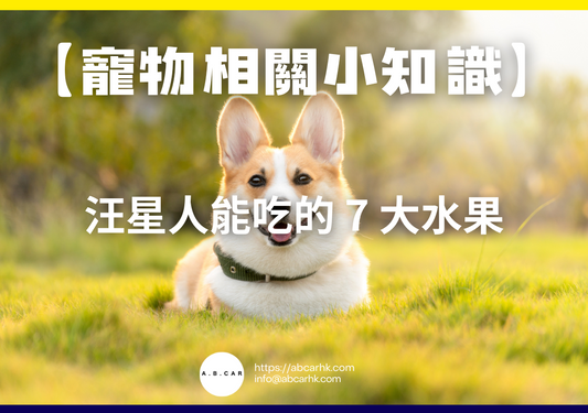 【寵物相關小知識】汪星人能吃的 7 大水果
