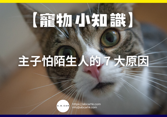 【寵物小知識】主子怕陌生人的 7 大原因