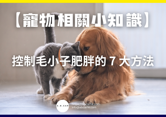 【寵物相關小知識】控制毛小子肥胖的 7 大方法
