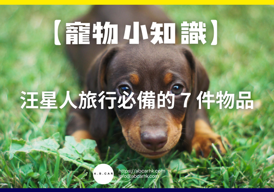 【寵物小知識】汪星人旅行必備的 7 件物品