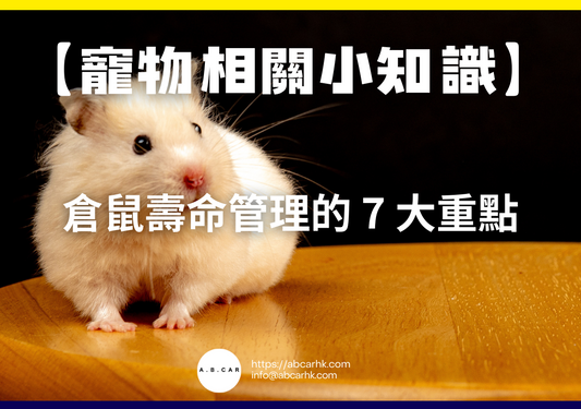 【寵物相關小知識】倉鼠壽命管理的 7 大重點