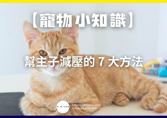【寵物小知識】幫主子減壓的 7 大方法