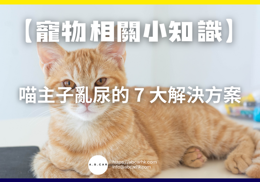 【寵物相關小知識】喵主子亂尿的 7 大解決方案