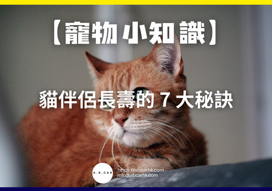 【寵物小知識】貓伴侶長壽的 7 大秘訣