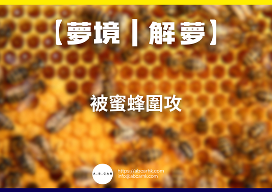 【夢境｜解夢】被蜜蜂圍攻｜編：雲依情