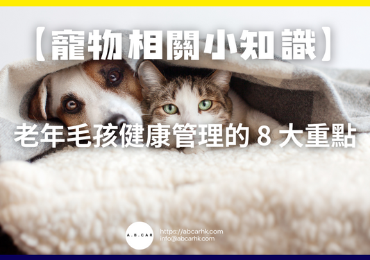 【寵物相關小知識】老年毛孩健康管理的 8 大重點