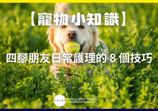 【寵物小知識】四腳朋友日常護理的 8 個技巧
