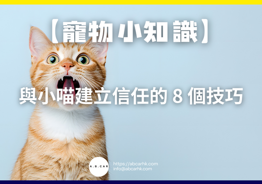 【寵物小知識】與小喵建立信任的 8 個技巧
