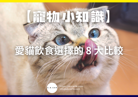 【寵物小知識】愛貓飲食選擇的 8 大比較