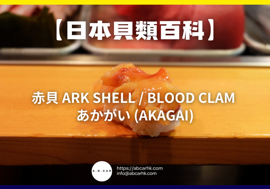 【日本貝類百科】赤貝 Ark Shell / Blood Clam あかがい (Akagai)｜編：煮婦爸爸