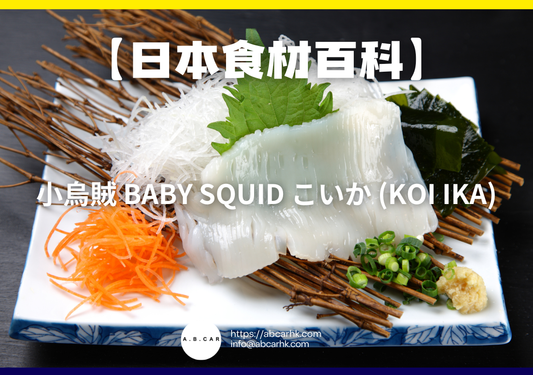【日本食材百科】小烏賊 Baby Squid こいか (Koi Ika)｜編：煮婦爸爸
