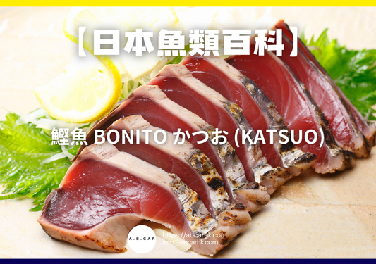 【日本魚類百科】鰹魚 Bonito かつお (Katsuo)｜編：煮婦爸爸
