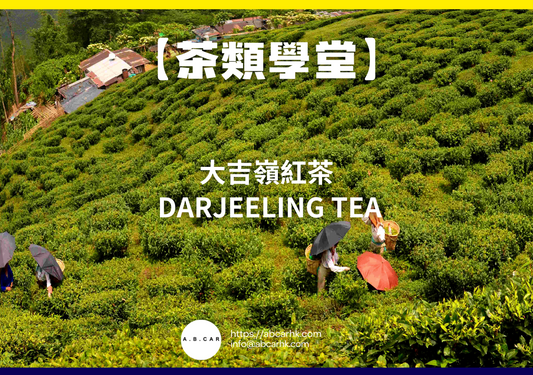 【茶類學堂】大吉嶺紅茶 Darjeeling Tea｜編：Mark Ma