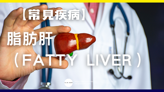 【常見疾病】脂肪肝（Fatty Liver）