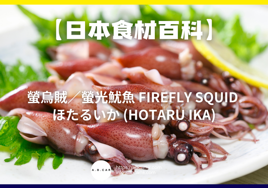 【日本食材百科】螢烏賊／螢光魷魚 Firefly Squid ほたるいか (Hotaru Ika)｜編：煮婦爸爸