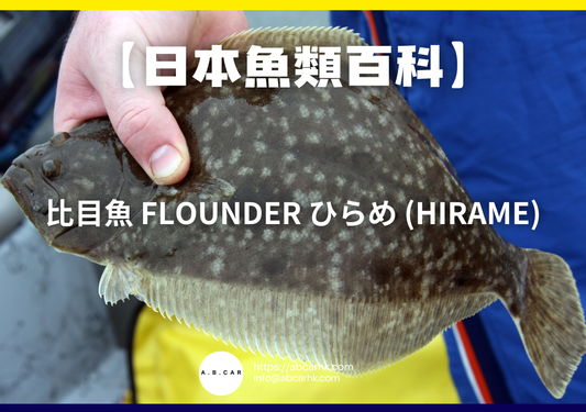 【日本魚類百科】比目魚 Flounder ひらめ (Hirame)｜編：煮婦爸爸