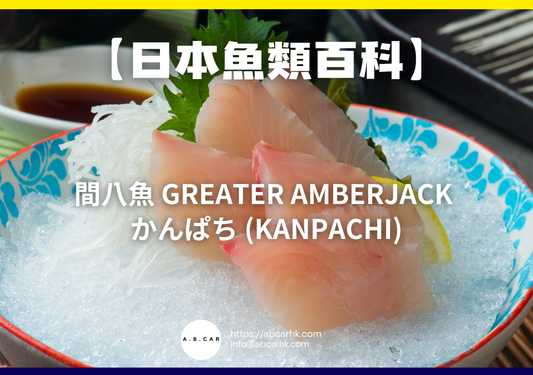 【日本魚類百科】間八魚 Greater Amberjack かんぱち (Kanpachi)｜編：煮婦爸爸