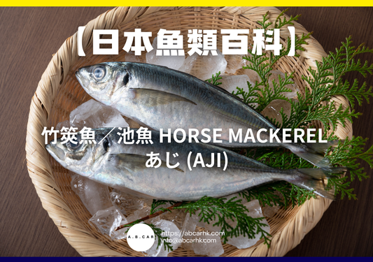 【日本魚類百科】竹筴魚／池魚 Horse Mackerel あじ (Aji)｜編：煮婦爸爸