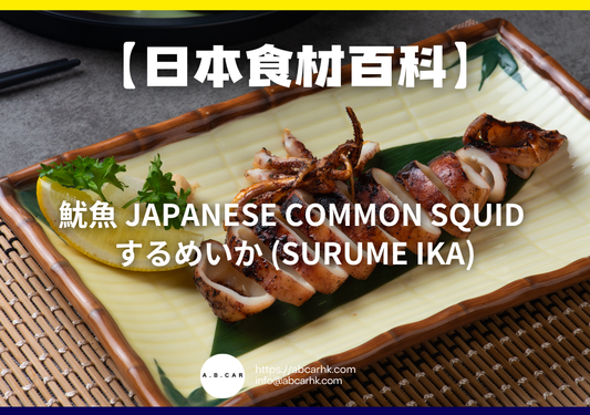 【日本食材百科】魷魚 Japanese Common Squid するめいか (Surume Ika)｜編：煮婦爸爸