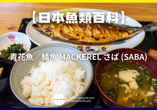 【日本魚類百科】青花魚／鯖魚 Mackerel さば (Saba)｜編：煮婦爸爸