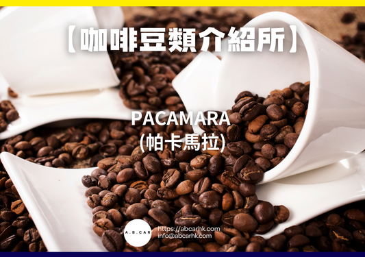 【咖啡豆類介紹所】Pacamara (帕卡馬拉)｜編：Mark Ma