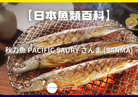 【日本魚類百科】秋刀魚 Pacific Saury さんま (Sanma)｜編：煮婦爸爸