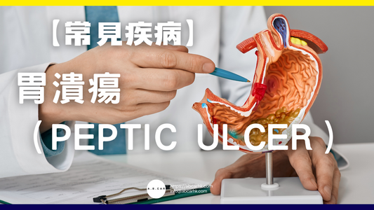 【常見疾病】胃潰瘍（Peptic Ulcer）