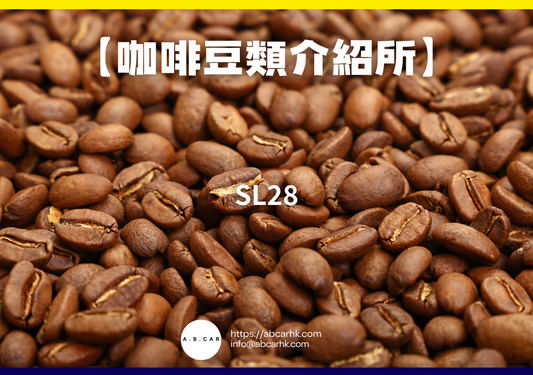 【咖啡豆類介紹所】SL28｜編：Mark Ma
