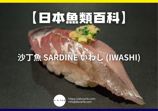 【日本魚類百科】沙丁魚 Sardine いわし (Iwashi)｜編：煮婦爸爸