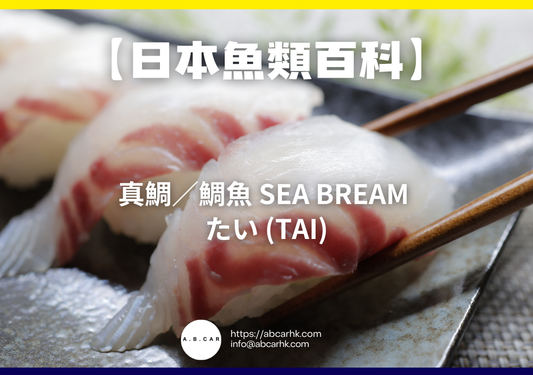 【日本魚類百科】真鯛／鯛魚 Sea Bream たい (Tai)｜編：煮婦爸爸