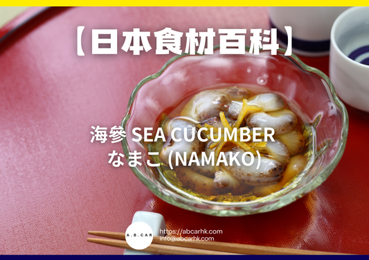 【日本食材百科】海參 Sea Cucumber なまこ (Namako)｜編：煮婦爸爸