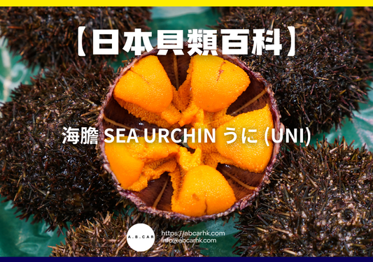 【日本貝類百科】海膽 Sea Urchin うに (Uni)｜編：煮婦爸爸