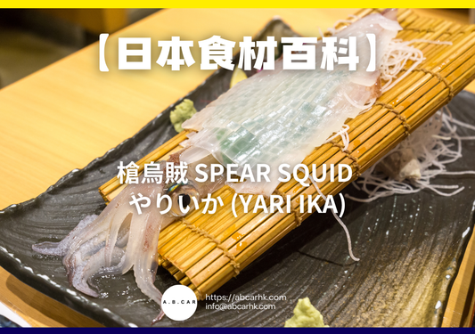 【日本食材百科】槍烏賊 Spear Squid やりいか (Yari Ika)｜編：煮婦爸爸