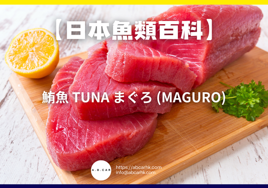 【日本魚類百科】鮪魚 Tuna まぐろ (Maguro)｜編：煮婦爸爸