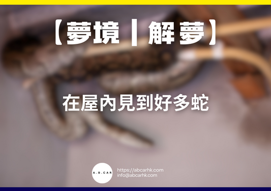 【夢境｜解夢】在屋內見到好多蛇｜編：雲依情