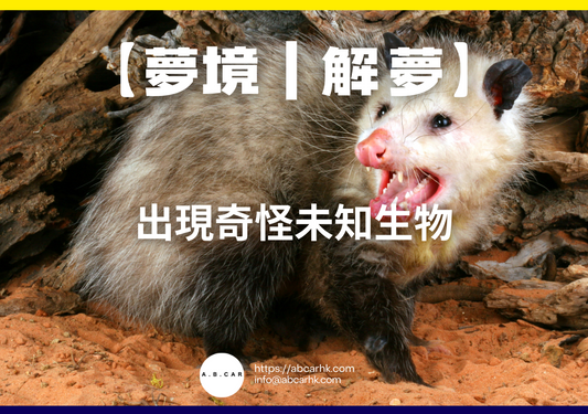 【夢境｜解夢】出現奇怪未知生物｜編：雲依情