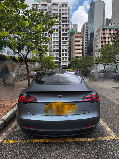 MODEL 3 LONG RANGE (Y'2021 O'2 KM'46,000 C'GRAY,BLUE) #9093 PRIVATE