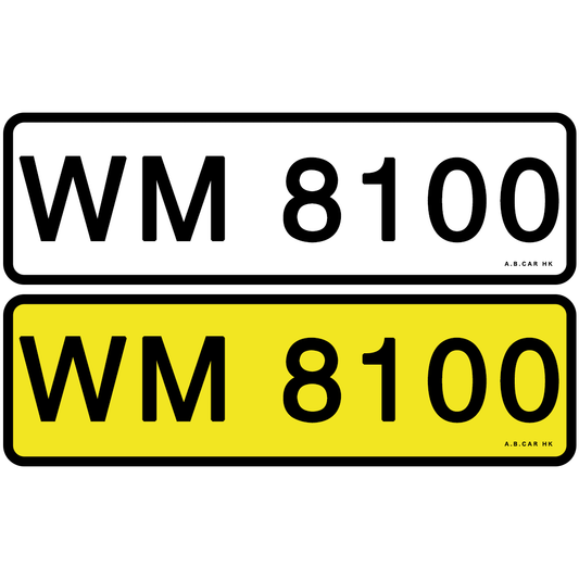 WM 8100